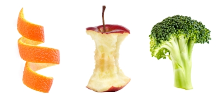 Food that can be ground in a badger series garbage disposal