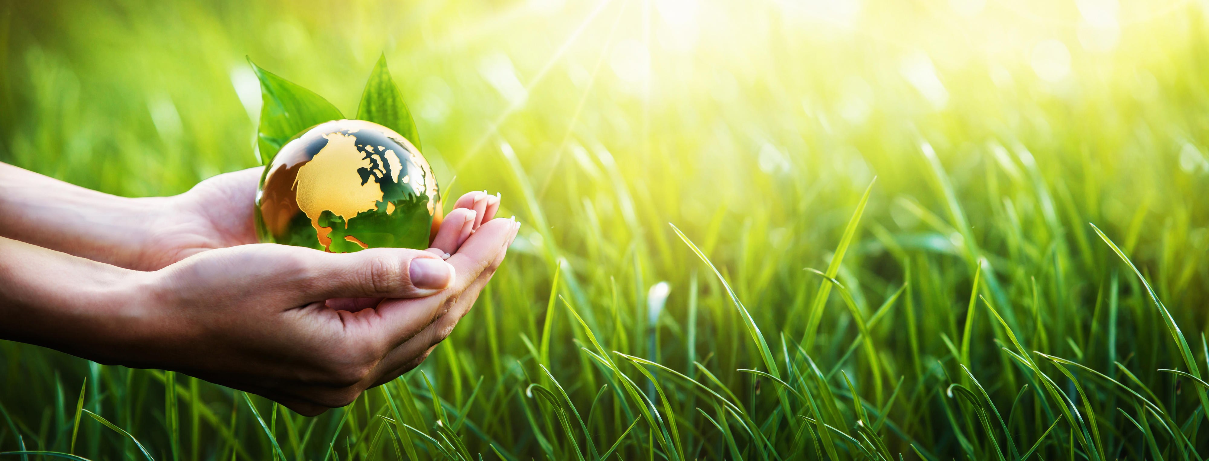 The right choice for the environment…