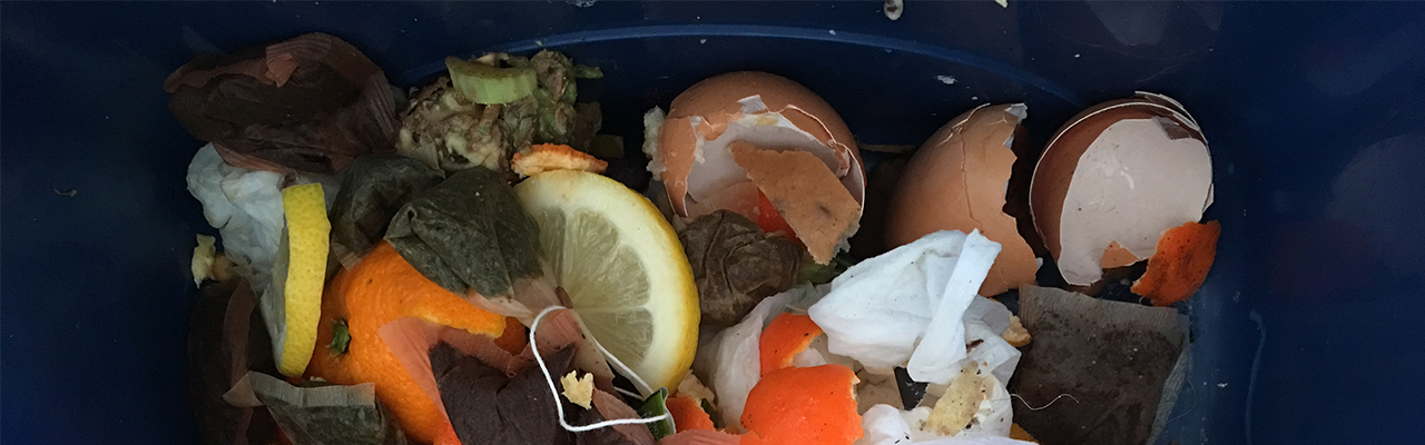 Global Food Waste: The Numbers Behind The Problem