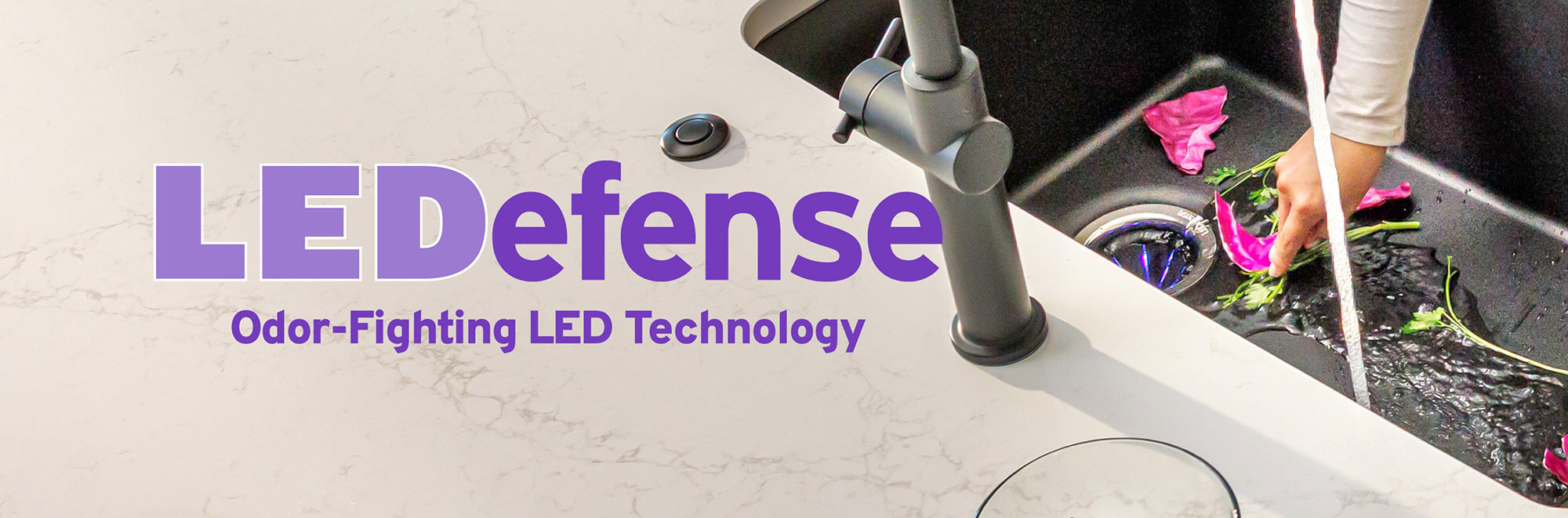 ledefense-banner